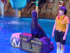 -烟台海昌鲸鲨海洋公园