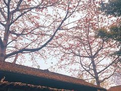 -喜洲吧·江畔老船厂·庭院餐厅(喜临院店)