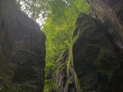 -牛背梁国家森林公园