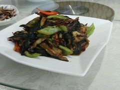 -丽苑大酒店