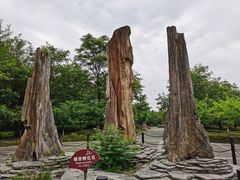 -金钉子远古世界景区