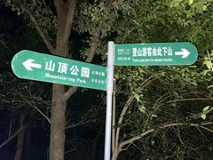 -紫金山山顶公园