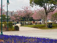 -新江湾城公园