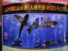 -潇湘码头·鲜湘菜(清河店)