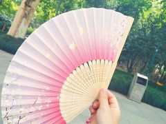 -杭州黄龙洞