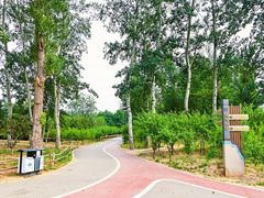 -马家湾湿地公园