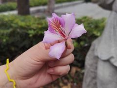 -广州市白云山风景名胜区