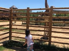 -鄂尔多斯野生动物园