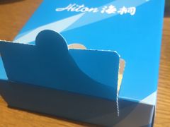 -海桐