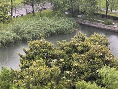 -阳澄湖费尔蒙酒店