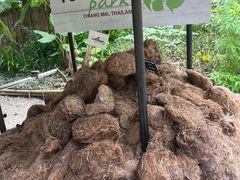 -大象粑粑造纸公园