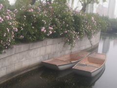 -尚贤河湿地