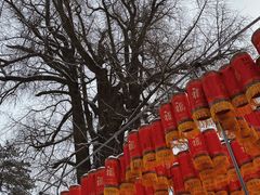 -潭柘寺景区