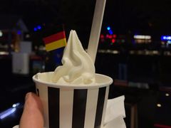 酸奶冰淇淋-JW德国冻酸奶Frozen Yogurt(龙湖成都滨江天街店)