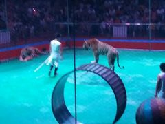 -济南方特东方神画