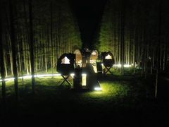 -黄海国家森林公园