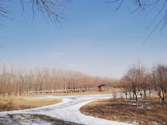 -东郊湿地公园