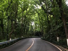-龙井村