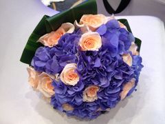 -上海新发展亚太JW万豪酒店