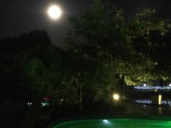 -汕头莲花山度假村温泉