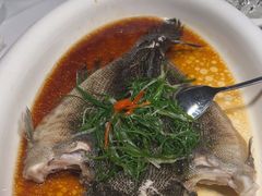 -陶缘一号·四季缘·老字号顺德菜·户外婚礼家宴(西滘店)