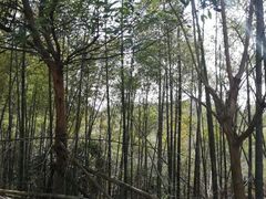 -横岗山森林公园