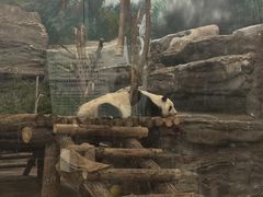 -鄂尔多斯野生动物园