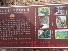 -北京上方山国家森林公园