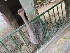 -五龙山野生动物王国