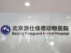 -北京派仕佳德动物医院·超导核磁·CT·神经科·骨科·内外科·急重症管理中心
