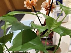 -石鼎香·非遗淮扬火锅(江都龙川桥店)