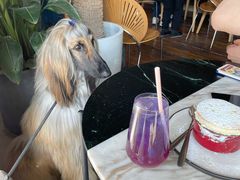 -the rug 飞毯 (朝阳公园店)