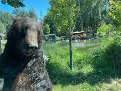 -北京野生动物园