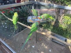 -大连森林动物园