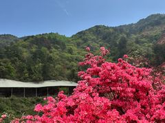 -木兰云雾山