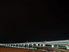 -演武大桥观景平台