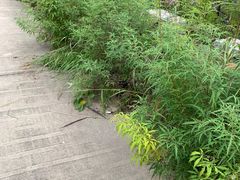 -府君山公园
