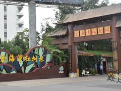 -北海金海湾红树林生态旅游区