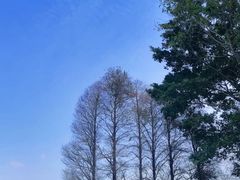 -天河儿童公园