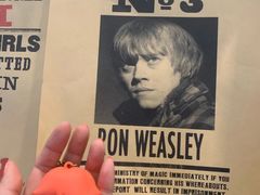 -奥斯卡升龙国际影城(RealD Cinema)