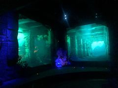 -郑州方特梦幻王国