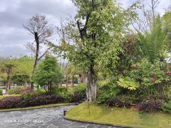 -腾冲洞山温泉村