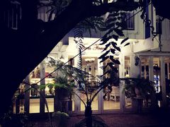 -Fern Forest Cafe