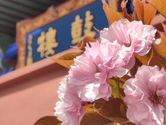 -天津妈祖文化园