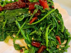 -老成渝川菜馆(麦溪路店)