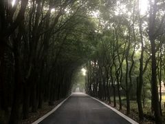 -同里国家湿地公园