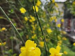 -重庆歌乐山烈士陵园