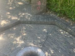 -上海佘山国家森林公园天马山园