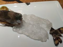 白松露拌大花虾刺身-新荣记(西溪湿地店)