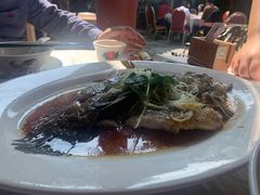 东星斑-香山家宴